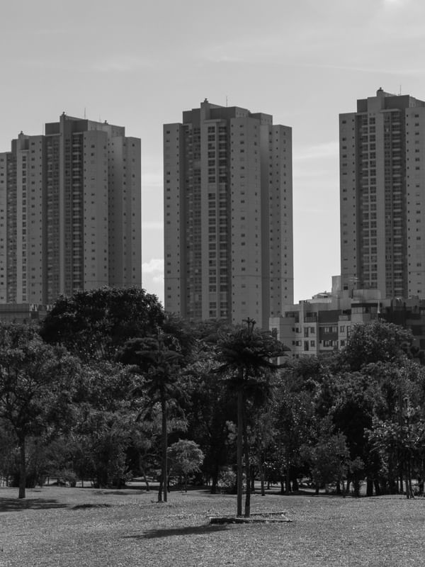 ÁRVORES E EDIFÍCIOS