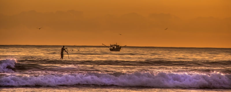 SURF DOURADO