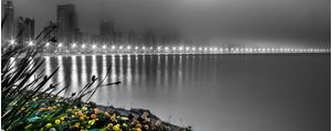 SOBRAS NA NEBLINA