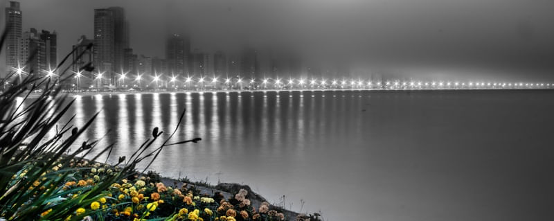 SOBRAS NA NEBLINA