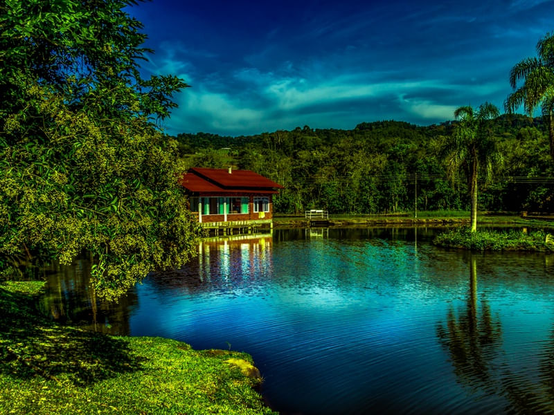 SITIO METÁLICO