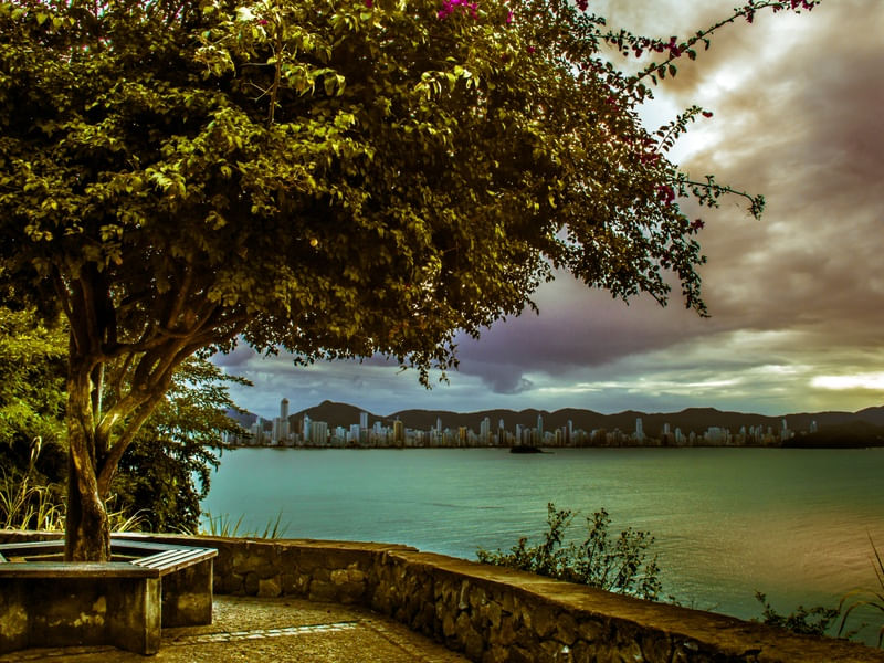 ARVORE GUARDIÃ