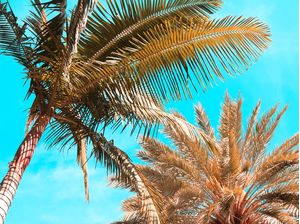 BLUE BEACH TT