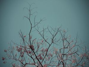 MEU CÉU