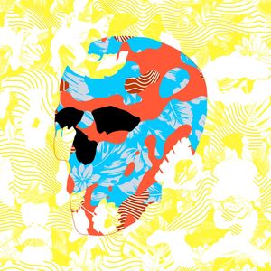COUNTRY SKULL