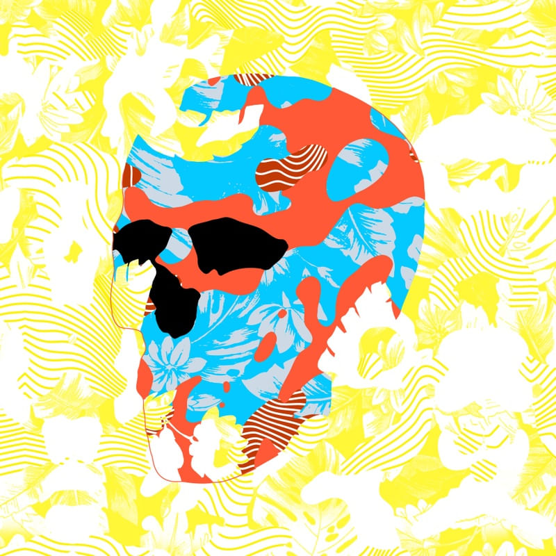 COUNTRY SKULL