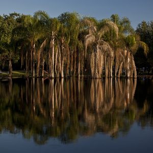2976 - BOSQUE DA BARRA