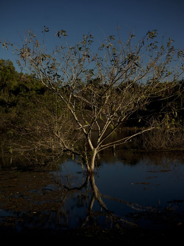2972 - BOSQUE DA BARRA