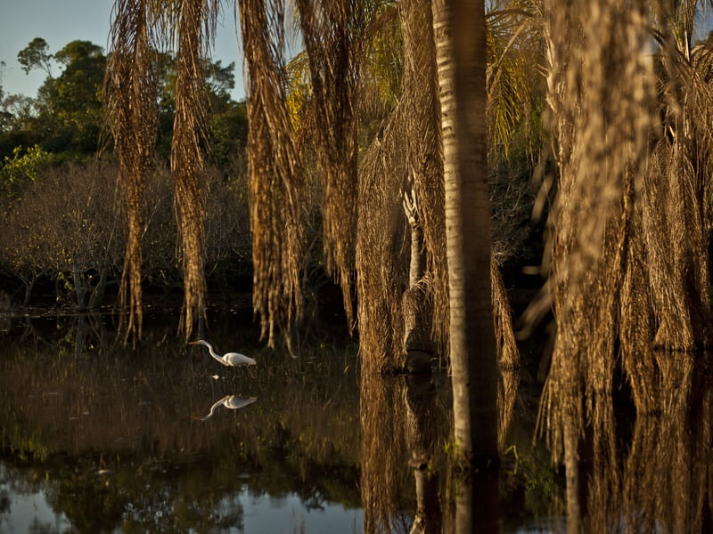 2988 - BOSQUE DA BARRA