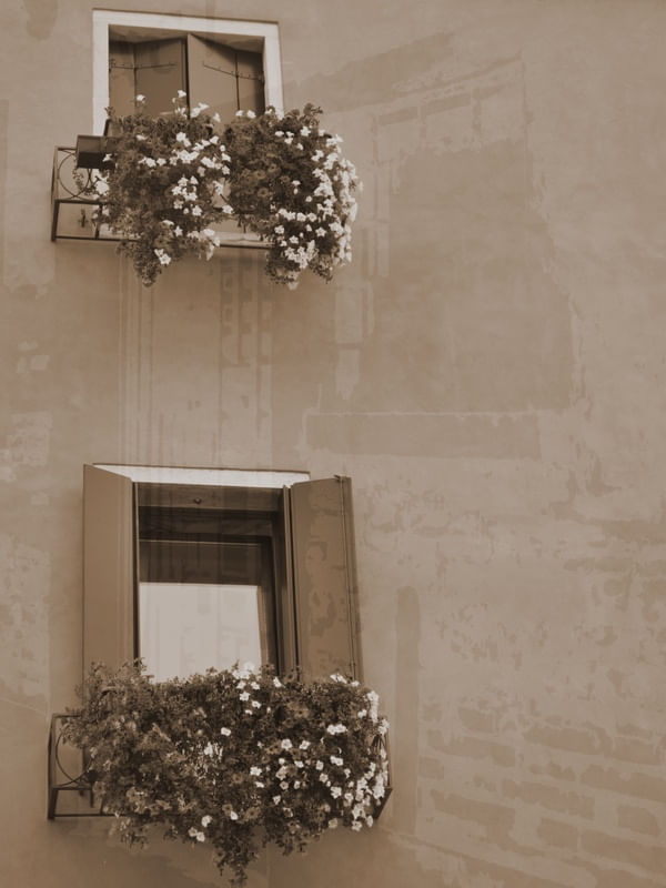 VENEZA 2