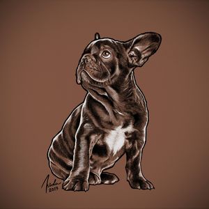 BULDOGUE FRANCÊS - LÁPIS