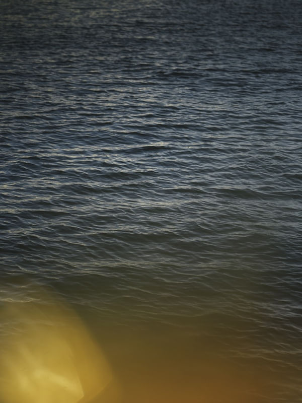 BOKEH LAND