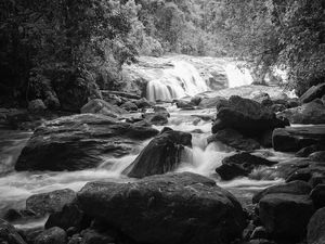 HIGH WATERS VII