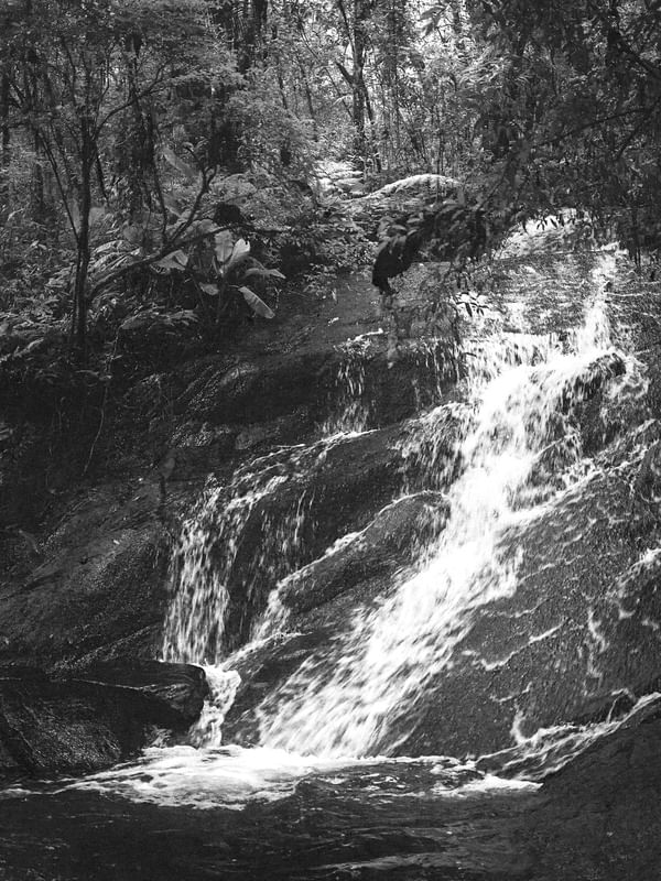 RETIRO NA FLORESTA