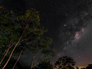 MILKY WAY