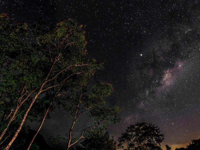 MILKY WAY