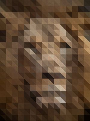 GEOMETRIC LION - LEÃO