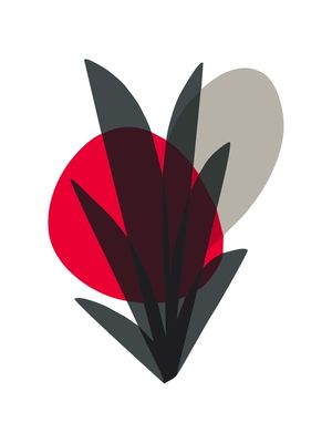 FLORES ABSTRATAS 05