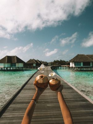 COCONUTS FOR YOU II