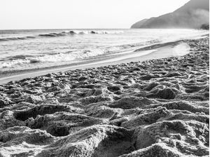 BEACH PB TT