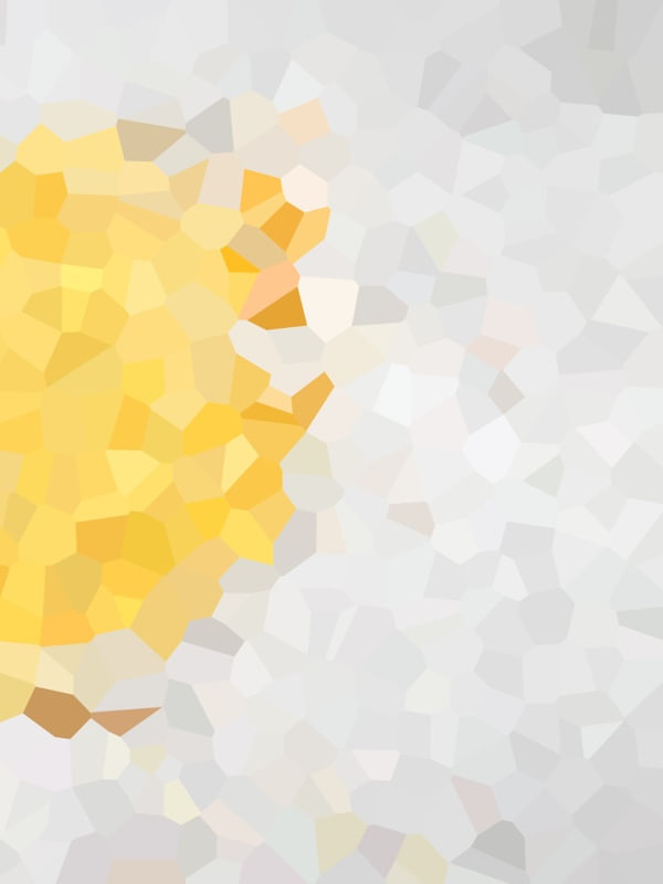 DÍPTICO SOLAR OURO VOSTRO_02