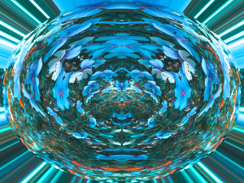 PLANET OF FLOWERS