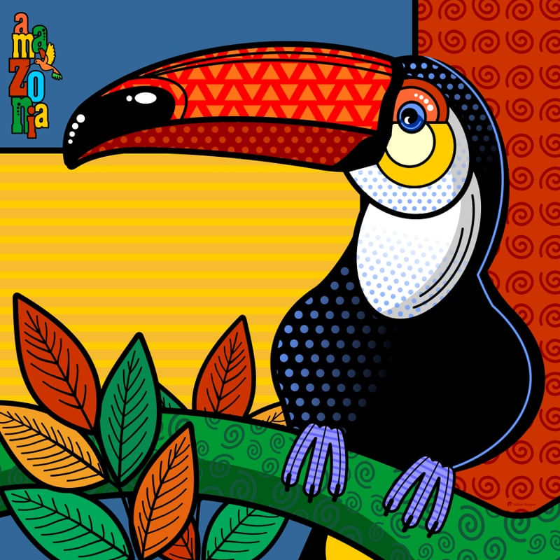 TUCANO - COLEÇÃO AMAZÔNIA