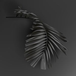 BLACK TROPICAL 1