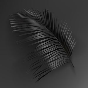 BLACK TROPICAL 2