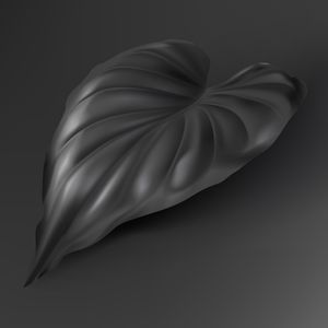 BLACK TROPICAL 3