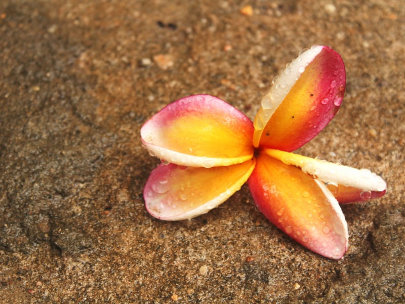 CHOVEU (BARRA DO CUNHAÚ
