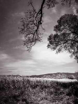 AMERICAN LANDSCAPE #01