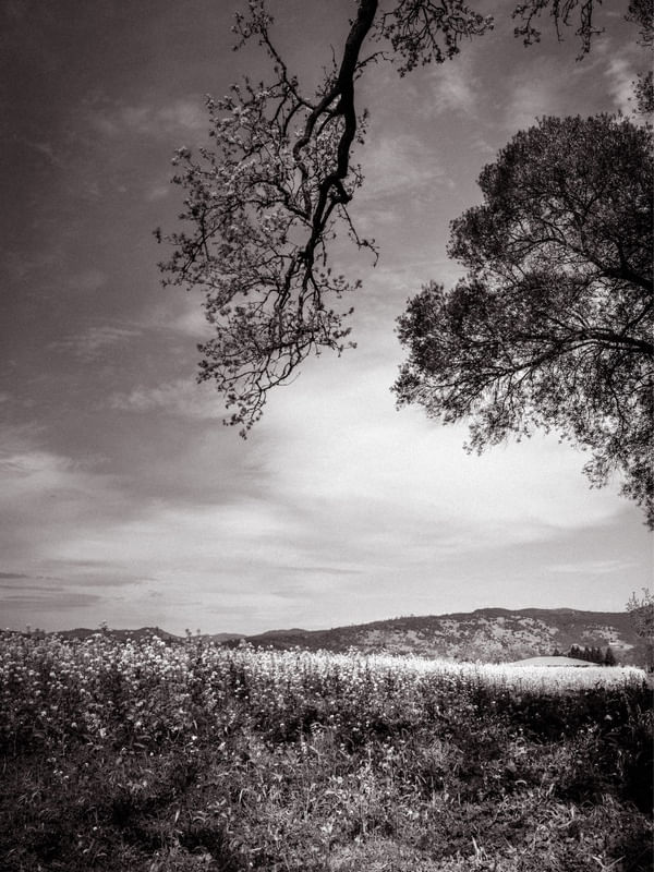 AMERICAN LANDSCAPE #01