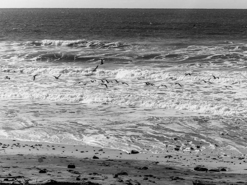 AMERICAN LANDSCAPE #04