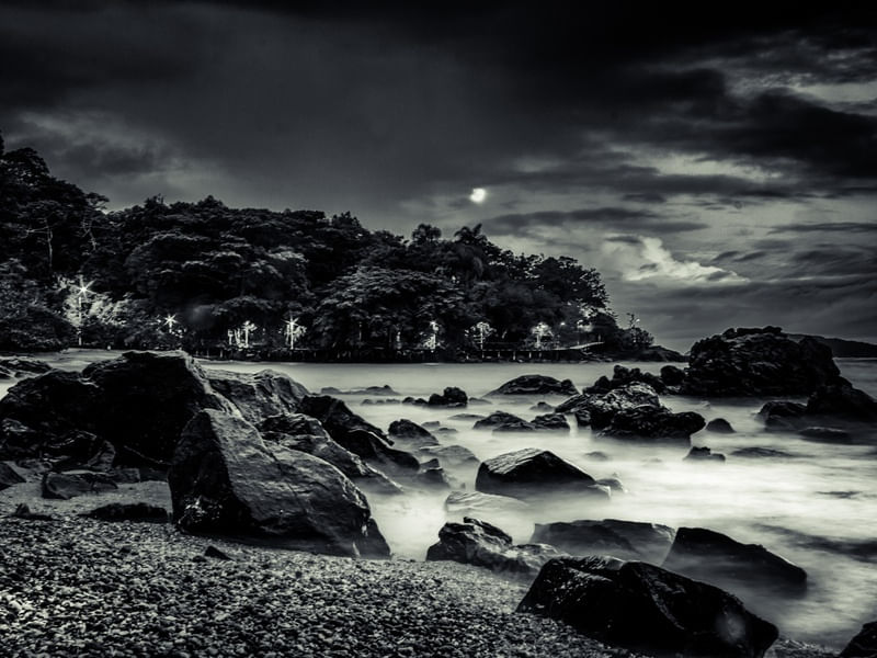 BC NIGHT DREAMS 2