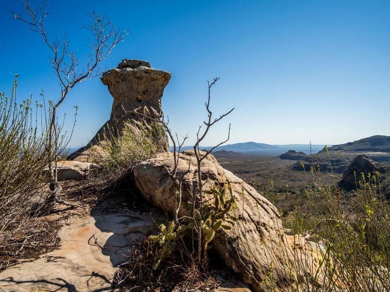 PAISAGEM NO VALE DO CATIMBAU