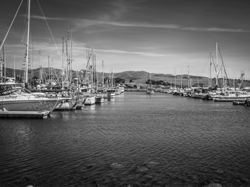 BARCOS #01