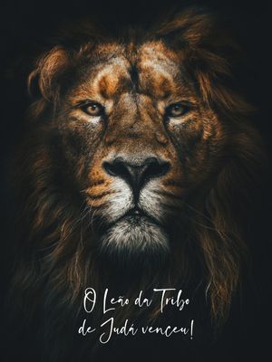 LEÃO DA TRIBO DE JUDÁ