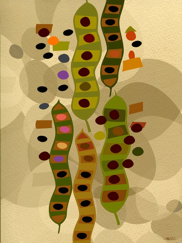 ÀS FAVAS VI