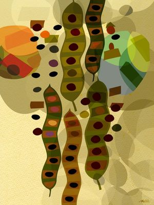 ÀS FAVAS VII