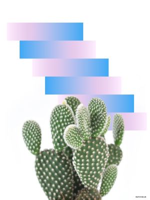 CACTUS DESIGN V