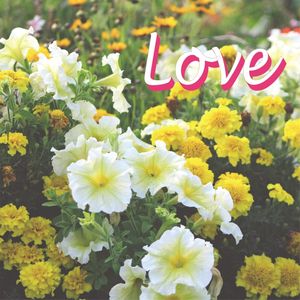 LOVE AND FLOWERS