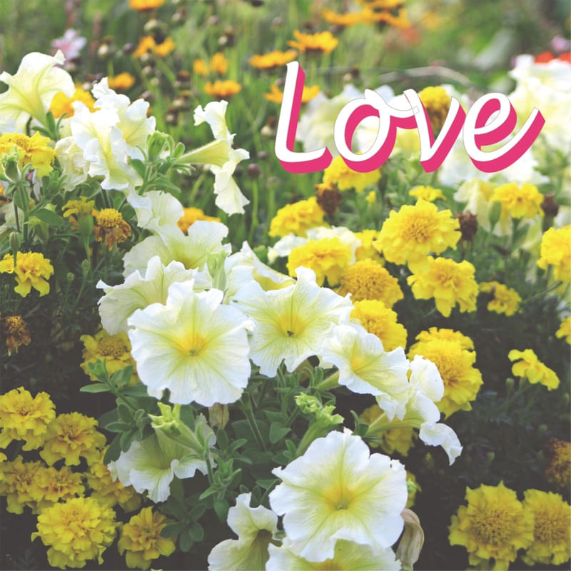 LOVE AND FLOWERS