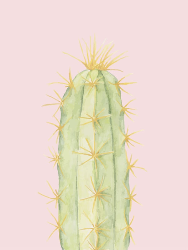 CACTO ROSA AQUARELA