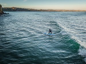 SURF #02