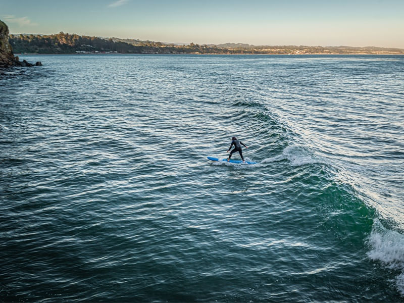 SURF #02