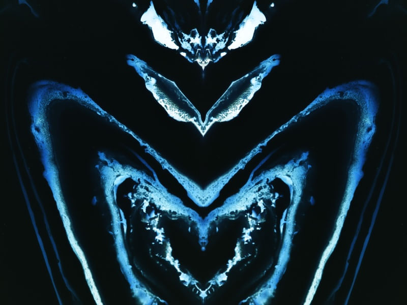 FRINGE BUTTERFLY