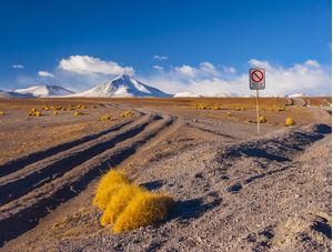 FREEDOM IN THE DESERT II