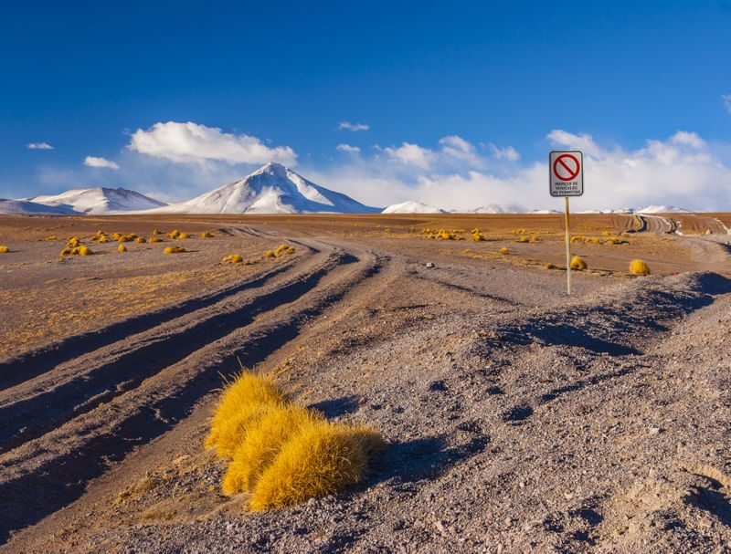 FREEDOM IN THE DESERT II