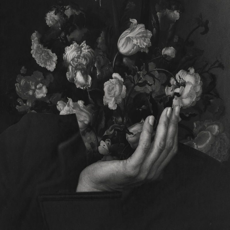 IN BLOOM II